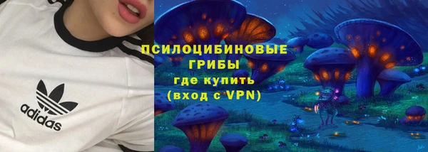 индика Верея