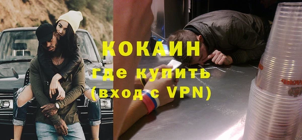 индика Верея