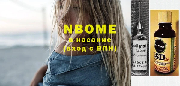 индика Верея