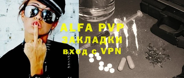 индика Верея