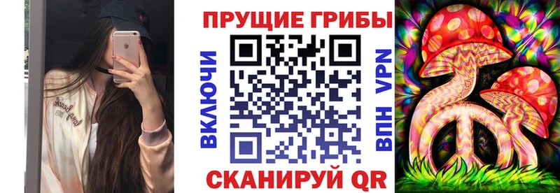 KRAKEN ТОР Первомайск Галлюциногенные грибы прущие грибы
